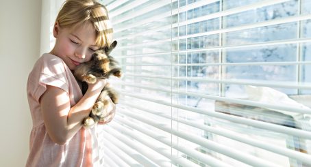 Ikkunassa sälekaihtimet ja tyttö pitää pupu sylissä